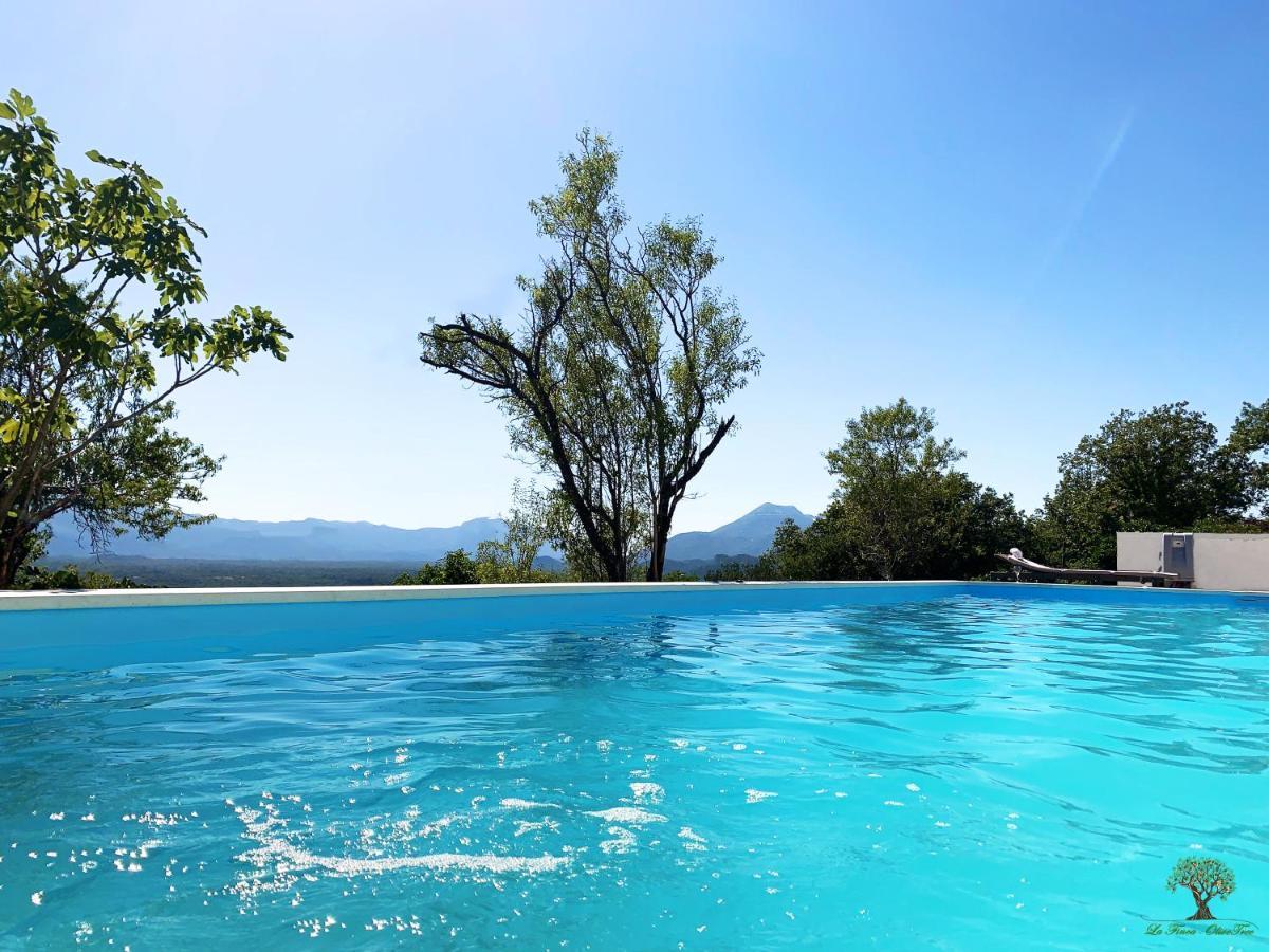 La Finca Olivetree Katuni 외부 사진