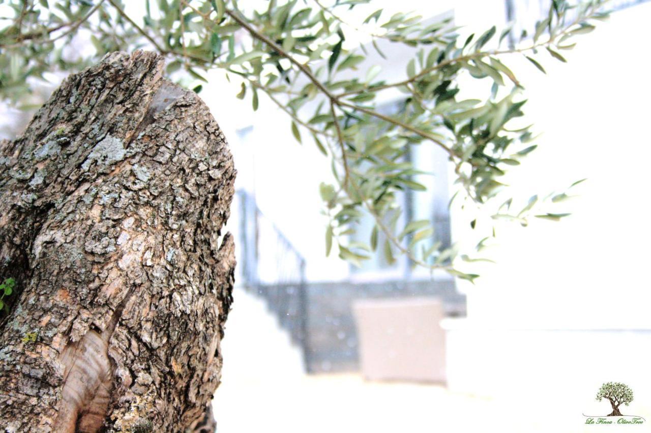 La Finca Olivetree Katuni 외부 사진